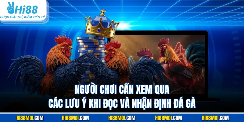 Người chơi cần xem qua các lưu ý khi đọc và nhận định đá gà