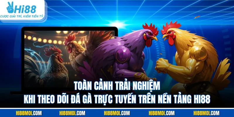 Toàn cảnh trải nghiệm khi theo dõi đá gà trực tuyến trên nền tảng Hi88