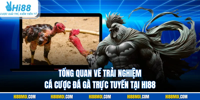 Tổng quan về trải nghiệm cá cược đá gà trực tuyến tại Hi88